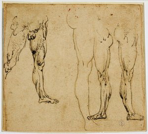 Studies of manly legs, c. 1485-1487